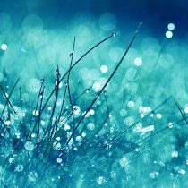 HD-Wallpapers-89_yaD0fnB