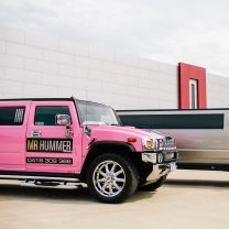 Limo hire Mr Hummer